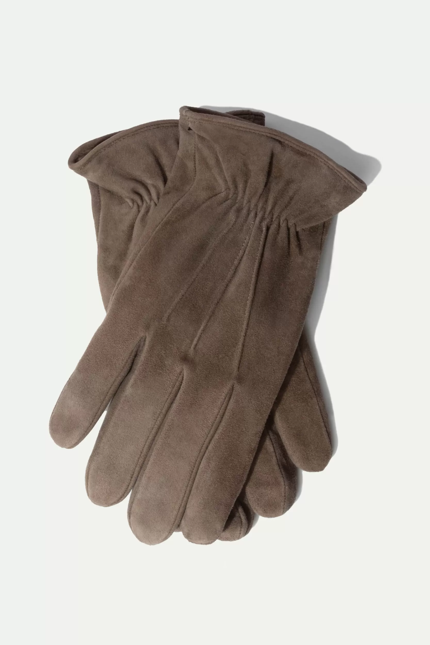 Shop Pini Parma Guanti In Pelle Scamosciata Foderati In Cashmere Color - Made In Italy Talpa
